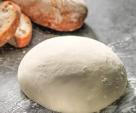 Basic bread dough