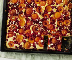 Aprikosen-Johannisbeer-Kuchen