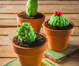 Cup-cakes de cactus