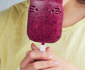 Glaces aux fruits animaux
