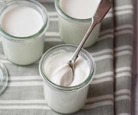 Plain Yogurt