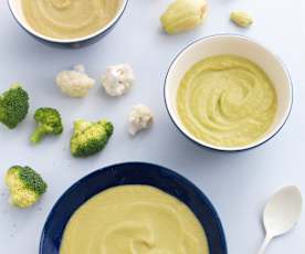 3 purés de carne - introdução do peru, da couve-flor e dos brócolos