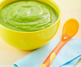 Papilla de calabacita