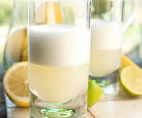 Gin Fizz