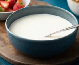 Liquid Yoghurt in Mixing Bowl