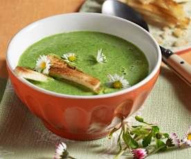 Erdäpfel-Bärlauchsuppe