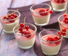 Panna cotta 