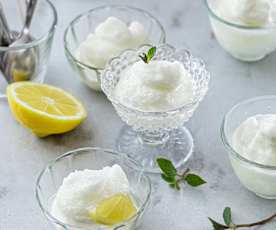 Lemon sorbet