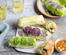 Rouleaux de printemps au tofu grillé