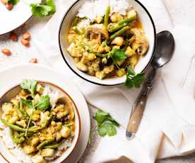 Veganské lilkové massaman kari