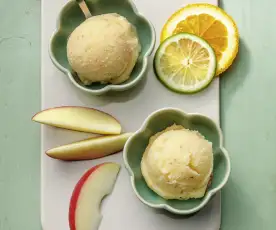 Frozen Fruit Sorbet (TM6)