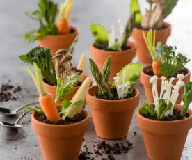 Potted baby vegetables