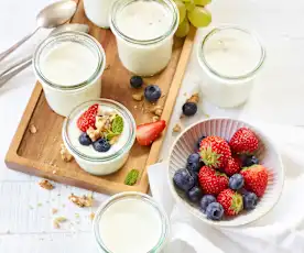 Vanille-Erythrit-Joghurt