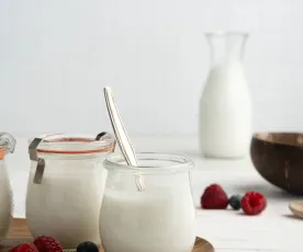 Yogurt al cocco (vegan)