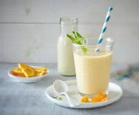 Meruňkový shake (bez laktózy)