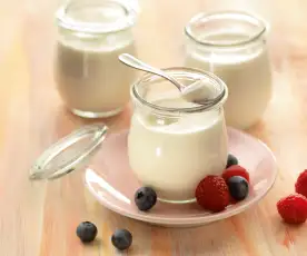 Yogurt fresco