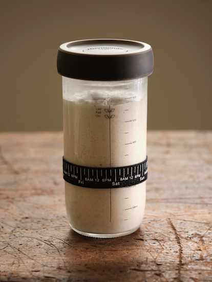 Sourdough Starter