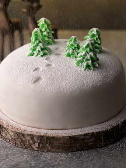 Christmas Cake