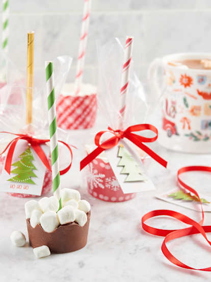 Hot Chocolate Sticks