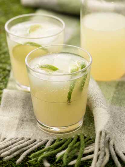 Ginger and Lime Fizzy Refresher