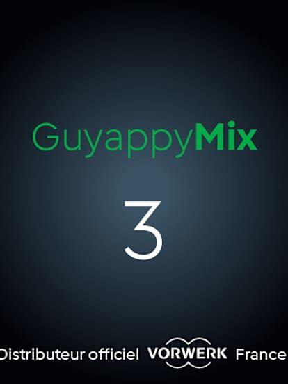 Guyappymix 3