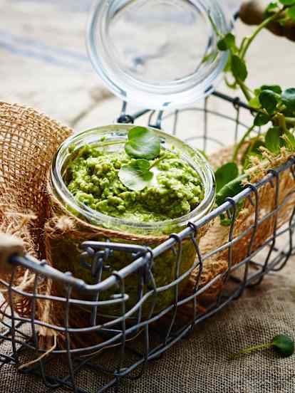 Pesto de cresson, noix et comté