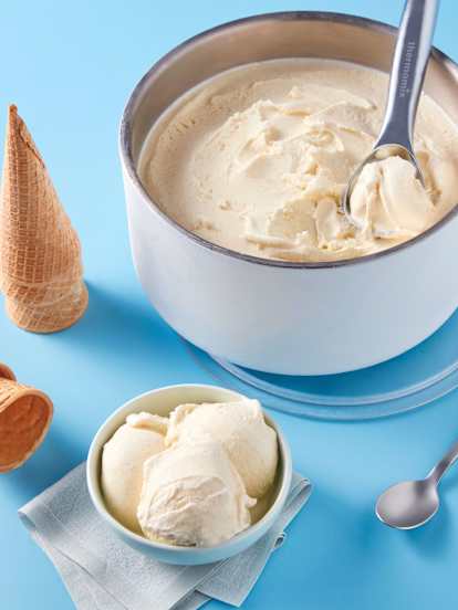 Double Vanilla Ice Cream
