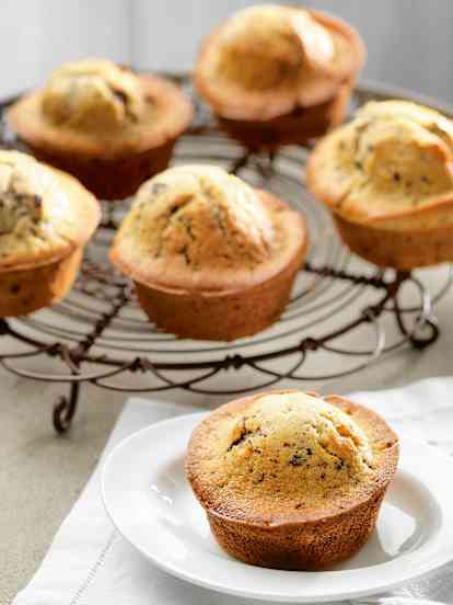 Chocolate Chip Muffins