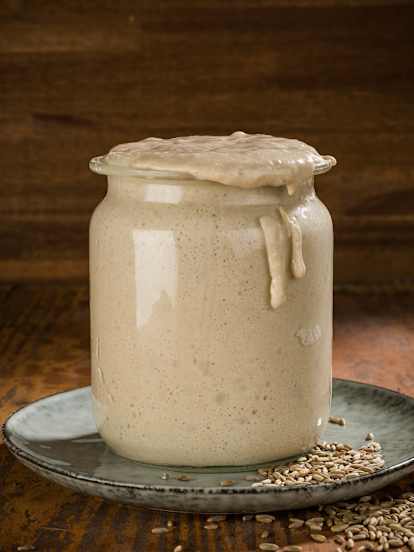 Apple Wheat Starter
