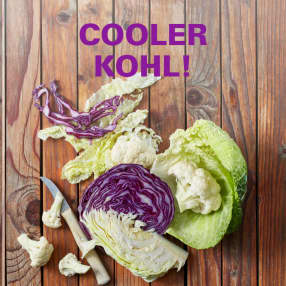 Cooler Kohl!