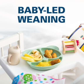 Baby-Led Weaning