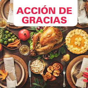 Acción de Gracias
