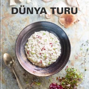 Dünya Turu