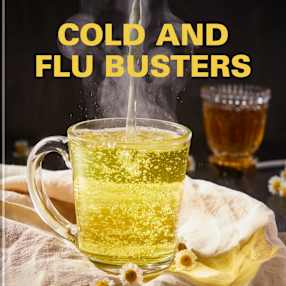 Flu and Cold Busters