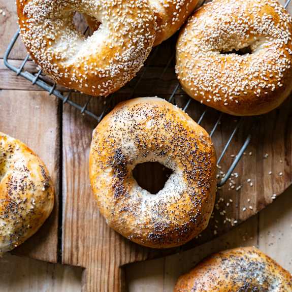 Bagels américains Cookidoo® the official Thermomix® recipe platform