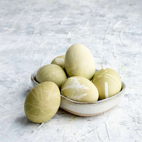 Huevos de color verde - Cookidoo® – la plataforma de recetas oficial de