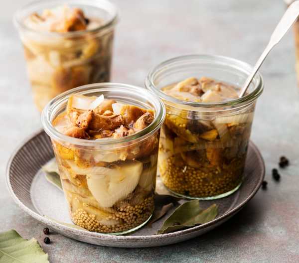 Cornichons de champignons Cookidoo® das offizielle Thermomix