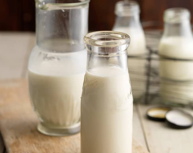 RAW medové mandlové mléko - Cookidoo® – oficjalna platforma z ...