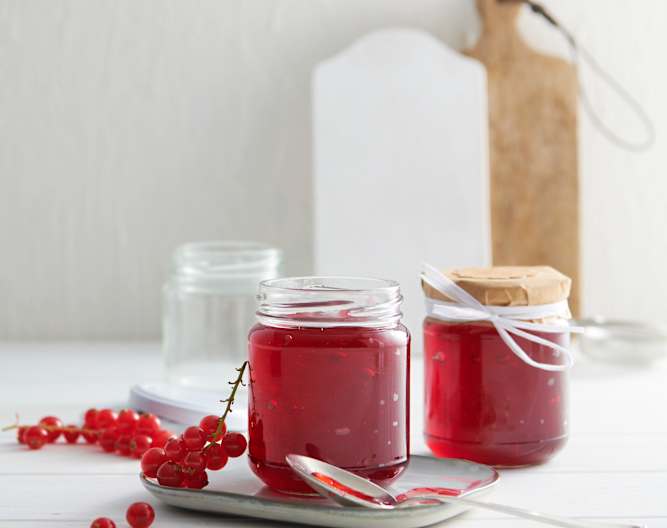 Gelée de groseille Cookidoo® the official Thermomix® recipe platform