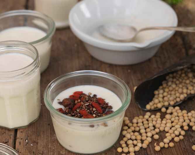 Soya Yoghurt Cookidoo® das offizielle Thermomix®RezeptPortal