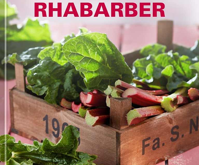 Rhabarber - Cookidoo® – das offizielle Thermomix®-Rezept-Portal