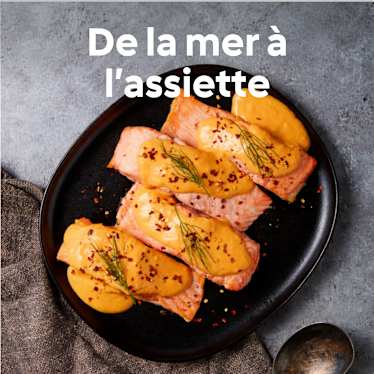 Sitemapcdatahttpneedsmixel Thicoipeinfoblanquette De La Mer Thermomix