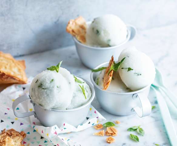 Sorbet citron-basilic