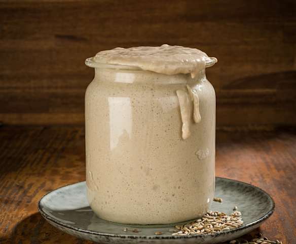 Starter Sourdough Starter Sourdough