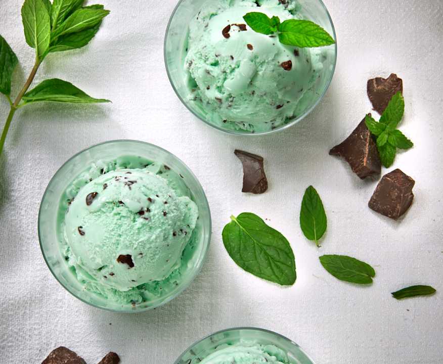 Mint Chocolate Chip Ice Cream - Cookidoo® – resmi Thermomix® tarif