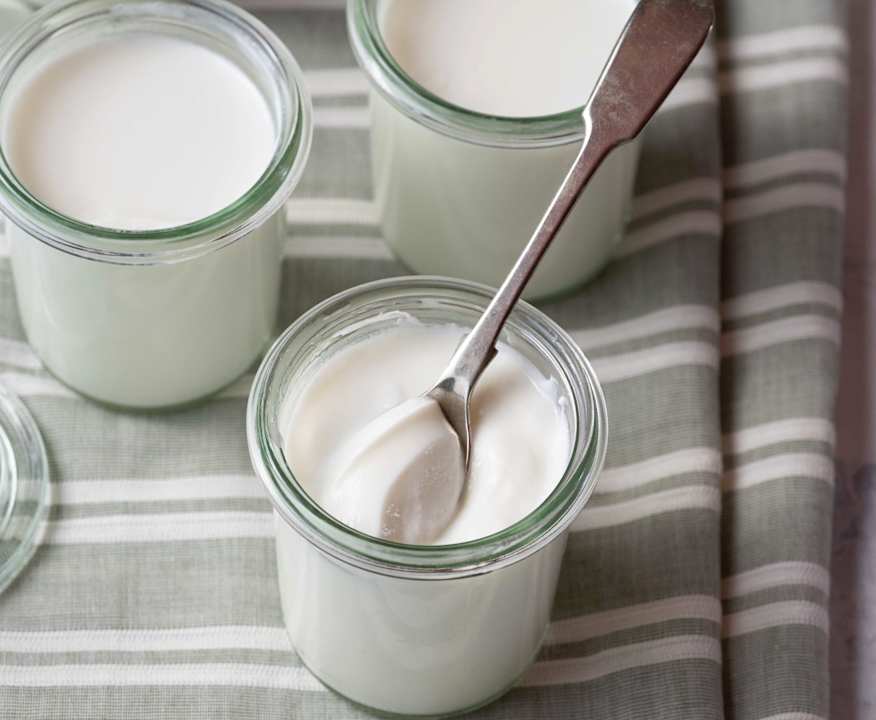 Plain Yogurt
