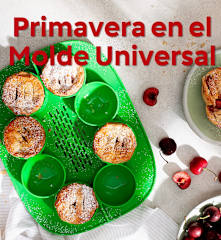 Primavera en el Molde Universal