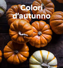 Colori d'autunno