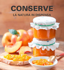 Conserve