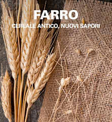 Farro
